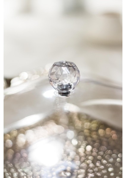 Akrilik Şeffaf 4'lü Tek Kapaklı Kahvaltılık & Sunumluk fırsatları