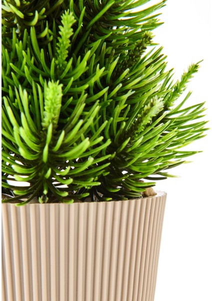 Saksılı Yapay Çam Ağacı - Renkli - 15X5 cm fırsatları
