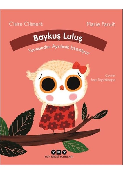 Baykuş Luluş Yuvasından Ayrılmak Istemiyor