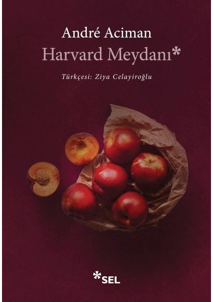Harvard Meydanı