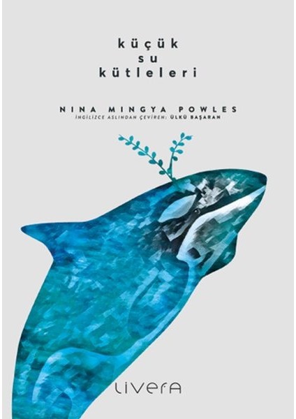 Küçük Su Kütleleri