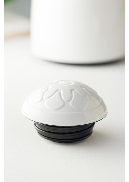 sky 1 lt ısı yalıtımlı çay ve soğuk su termosu soft beyaz (12 saat sıcak tutar& ıçi camdır) fırsatları