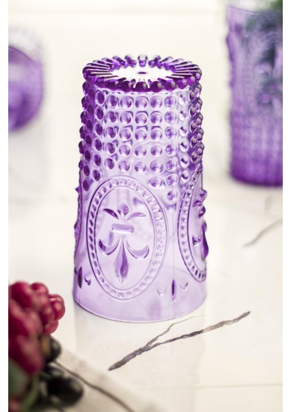 sky akrilik mor tekli uzun bardak & su meşrubat bardağı 750 ml ( büyük boy & cam değildir ) fiyatları