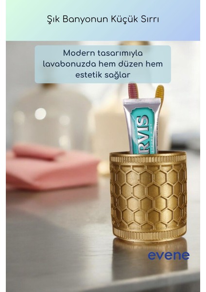 Diş Fırçalığı Diş Fırçalık Diş Fırçası Standı Diş Fırçası Tutucu Siyah Renk Model 81 fiyatları