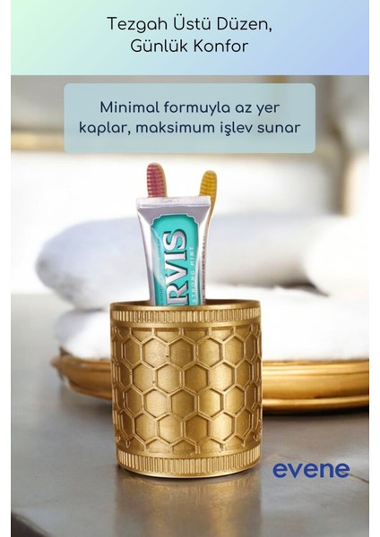 Diş Fırçalığı Diş Fırçalık Diş Fırçası Standı Diş Fırçası Tutucu Siyah Renk Model 81 fırsatları