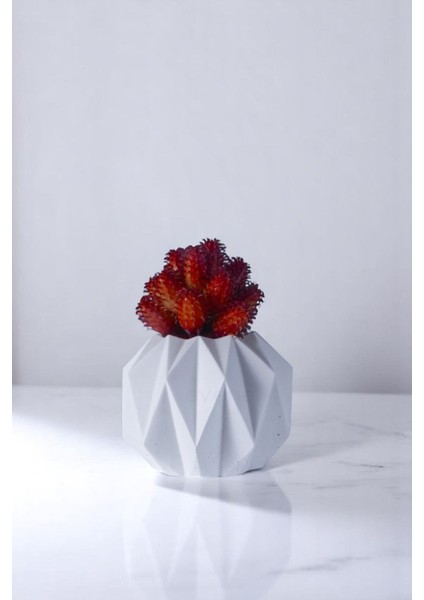 Saksı Dekoratif Saksı Kaktüs Saksısı Sukulent Saksısı Küçük Saksı Model 45 Siyah Saksı