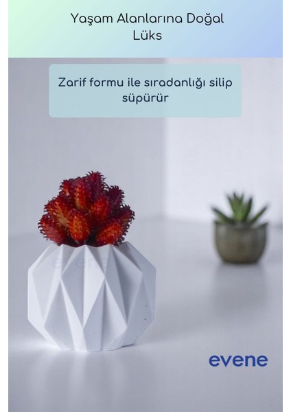 Saksı Dekoratif Saksı Kaktüs Saksısı Sukulent Saksısı Küçük Saksı Model 45 Siyah Saksı fiyatları