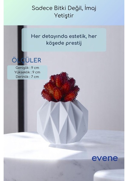 Saksı Dekoratif Saksı Kaktüs Saksısı Sukulent Saksısı Küçük Saksı Model 45 Siyah Saksı modelleri