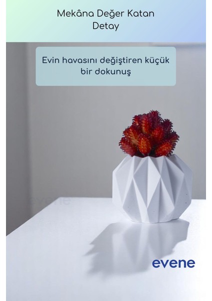 Saksı Dekoratif Saksı Kaktüs Saksısı Sukulent Saksısı Küçük Saksı Model 45 Siyah Saksı fırsatları