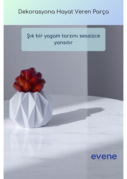 Saksı Dekoratif Saksı Kaktüs Saksısı Sukulent Saksısı Küçük Saksı Model 45 Siyah Saksı indirimleri