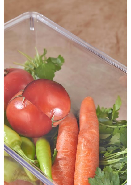 sky 4’lü şeffaf saklama kutusu & düzenleme kutusu 3,2 lt