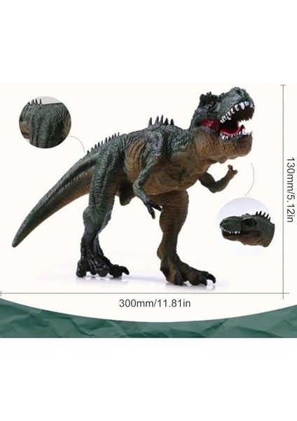 Store T-Rex Süper Gerçekçi Dinazor Trex Figür 30 cm Kapanıp Açılabilen Ağız Hediye Oyuncak Dinozor, Çok Renkli modelleri