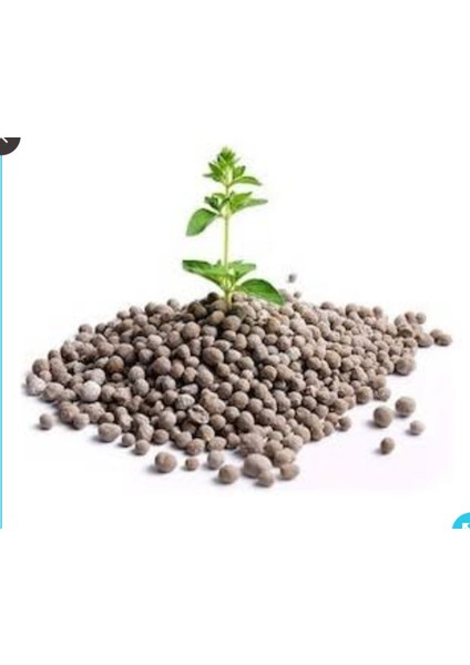 Toprak Altı Kış Gübresi 20-20 Npk Azot, Fosfor Dengeli Kükürtlü Gübre,taban Gübresi 5 kg modelleri