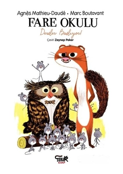 Fare Okulu Dersler Başlıyor!