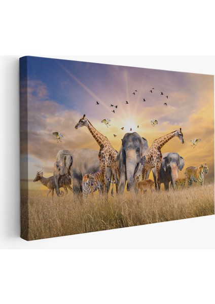 -Premier Kanvas Serileri- Hayvanlar Alemi Dekoratif Kanvas Tablo 1180