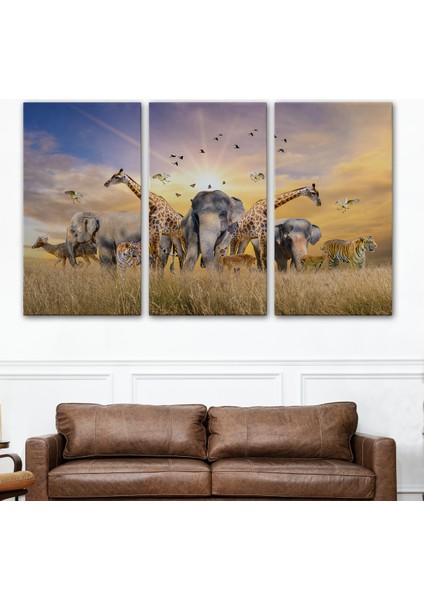 -Premier Kanvas Serileri- Hayvanlar Alemi Dekoratif Kanvas Tablo 1180 modelleri