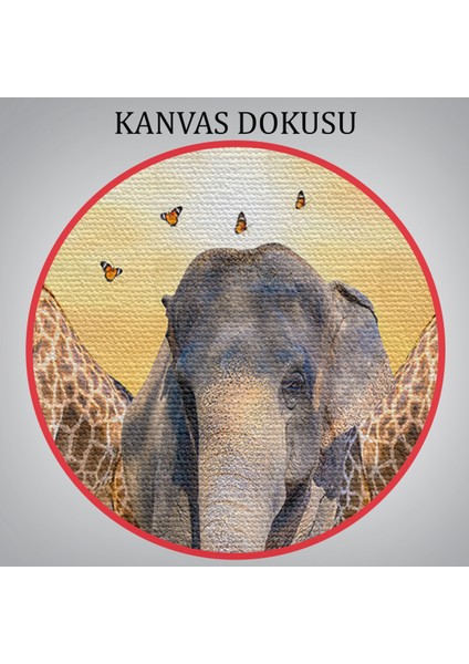 -Premier Kanvas Serileri- Hayvanlar Alemi Dekoratif Kanvas Tablo 1180