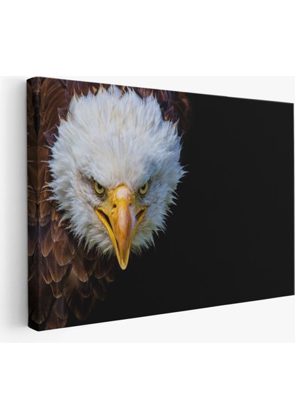 -Premier Kanvas Serileri- Kartal Dekoratif Kanvas Tablo 1132
