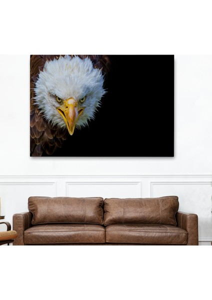 -Premier Kanvas Serileri- Kartal Dekoratif Kanvas Tablo 1132 fiyatları