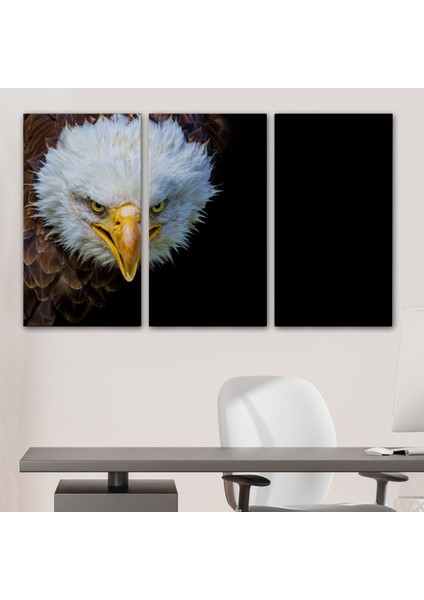 -Premier Kanvas Serileri- Kartal Dekoratif Kanvas Tablo 1132 modelleri