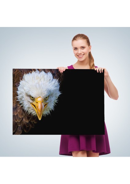 -Premier Kanvas Serileri- Kartal Dekoratif Kanvas Tablo 1132 fırsatları