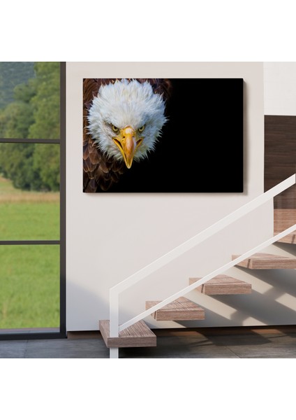 -Premier Kanvas Serileri- Kartal Dekoratif Kanvas Tablo 1132 indirimleri