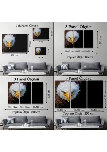 -Premier Kanvas Serileri- Kartal Dekoratif Kanvas Tablo 1132