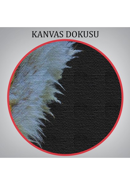 -Premier Kanvas Serileri- Kartal Dekoratif Kanvas Tablo 1132