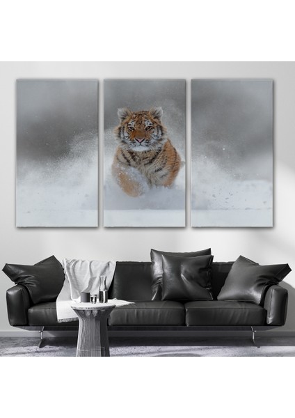 -Premier Kanvas Serileri- Karda Koşan Yavru Kaplan Dekoratif Kanvas Tablo 1135 modelleri