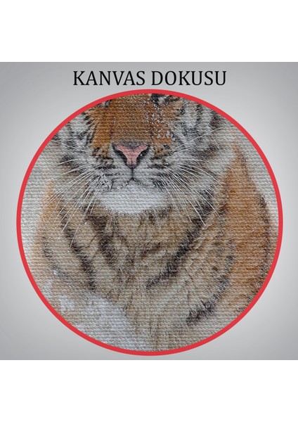 -Premier Kanvas Serileri- Karda Koşan Yavru Kaplan Dekoratif Kanvas Tablo 1135