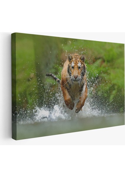 -Premier Kanvas Serileri- Koşan Kaplan Dekoratif Kanvas Tablo 1142