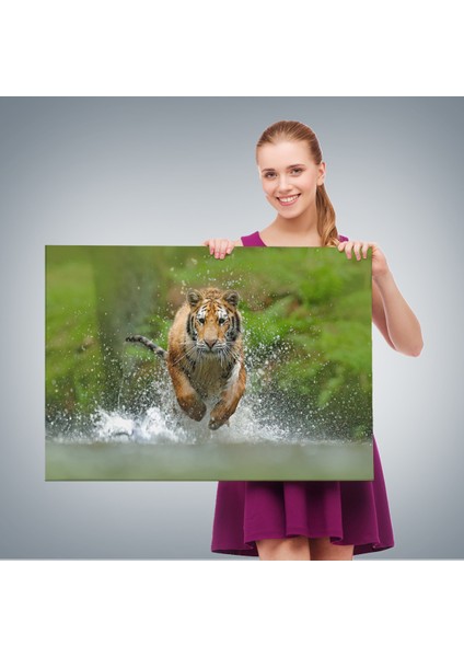 -Premier Kanvas Serileri- Koşan Kaplan Dekoratif Kanvas Tablo 1142 fırsatları