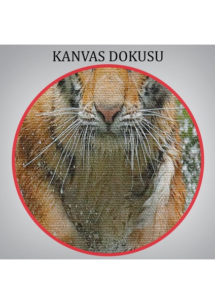 -Premier Kanvas Serileri- Koşan Kaplan Dekoratif Kanvas Tablo 1142