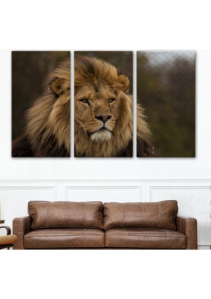 -Premier Kanvas Serileri- Aslan Dekoratif Kanvas Tablo 1159 modelleri
