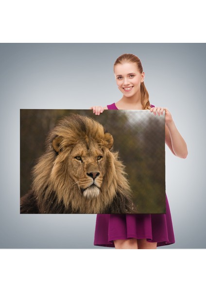 -Premier Kanvas Serileri- Aslan Dekoratif Kanvas Tablo 1159 fırsatları