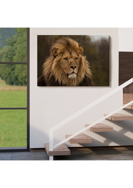 -Premier Kanvas Serileri- Aslan Dekoratif Kanvas Tablo 1159 indirimleri