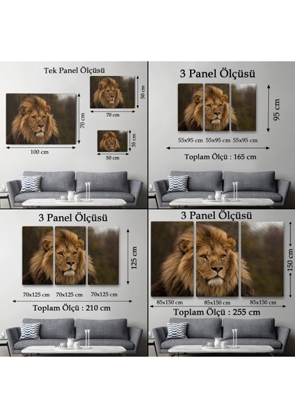 -Premier Kanvas Serileri- Aslan Dekoratif Kanvas Tablo 1159