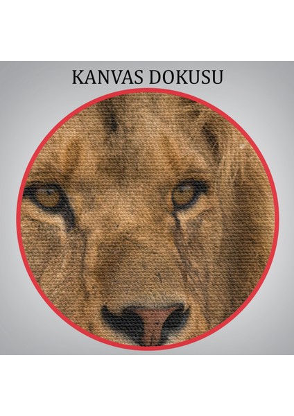 -Premier Kanvas Serileri- Aslan Dekoratif Kanvas Tablo 1159