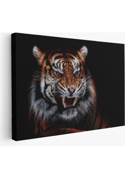 -Premier Kanvas Serileri- Kaplan Dekoratif Kanvas Tablo 1156