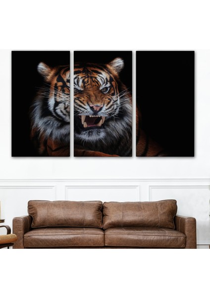 -Premier Kanvas Serileri- Kaplan Dekoratif Kanvas Tablo 1156 modelleri