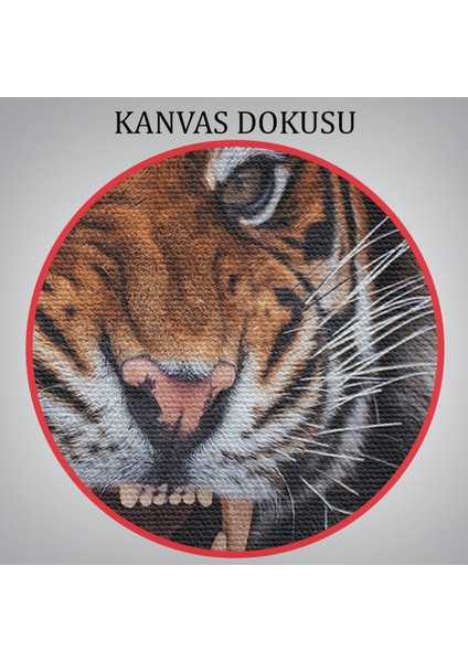 -Premier Kanvas Serileri- Kaplan Dekoratif Kanvas Tablo 1156