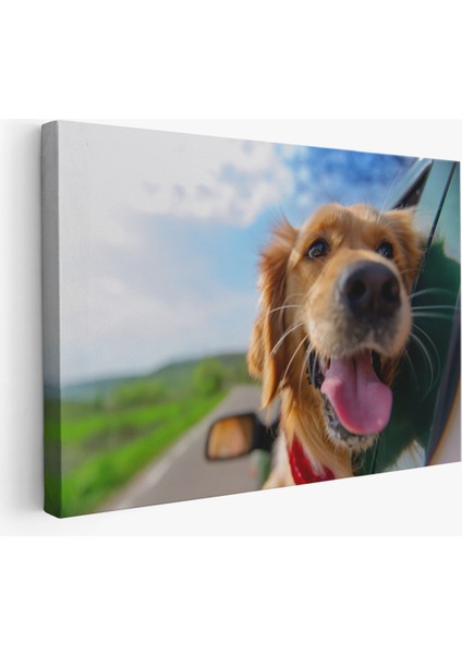 -Premier Kanvas Serileri- Köpek Dekoratif Kanvas Tablo 1130
