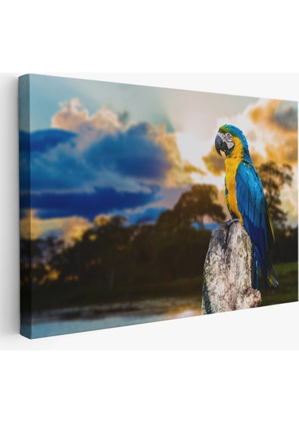 -Premier Kanvas Serileri- Papağan Dekoratif Kanvas Tablo 1123
