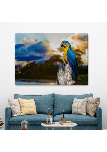 -Premier Kanvas Serileri- Papağan Dekoratif Kanvas Tablo 1123 fiyatları