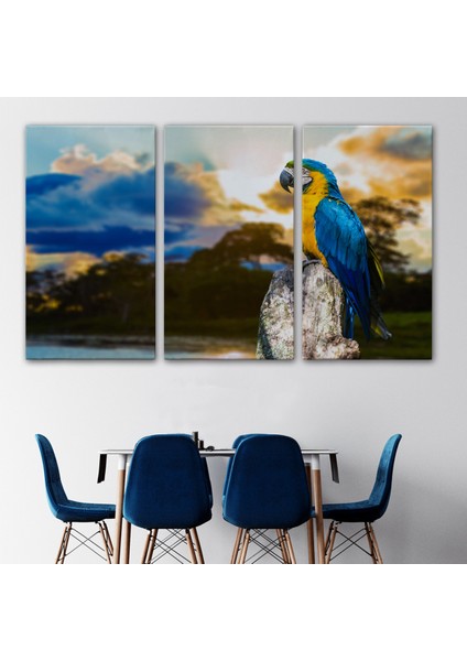 -Premier Kanvas Serileri- Papağan Dekoratif Kanvas Tablo 1123 modelleri
