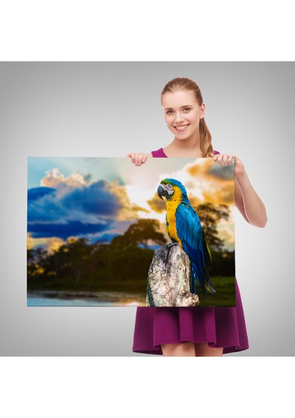 -Premier Kanvas Serileri- Papağan Dekoratif Kanvas Tablo 1123 fırsatları