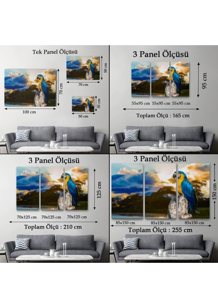 -Premier Kanvas Serileri- Papağan Dekoratif Kanvas Tablo 1123