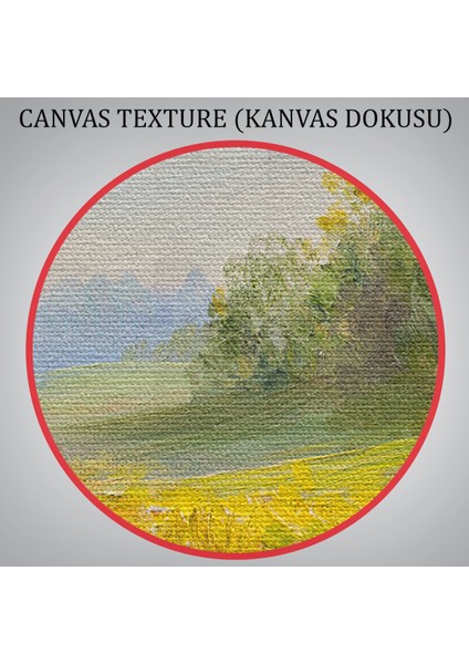 -Premier Kanvas Serileri- Çiçek Tarlası Yağlıboya Görünümlü Duvar TABLOSU-1203