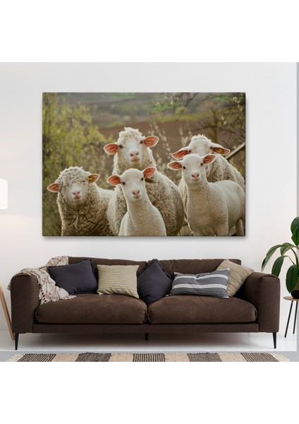 -Premier Kanvas Serileri- Koyun Kuzu Dekoratif Kanvas Tablo 1119 fiyatları