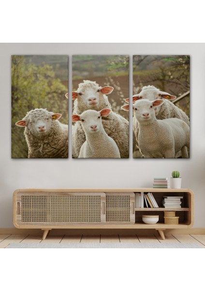 -Premier Kanvas Serileri- Koyun Kuzu Dekoratif Kanvas Tablo 1119 modelleri